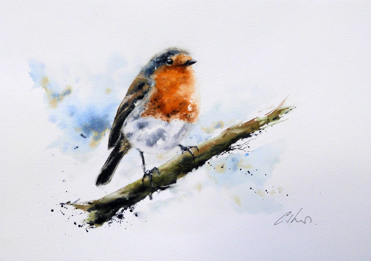 A Robin, watercolour.
#watercolour #art