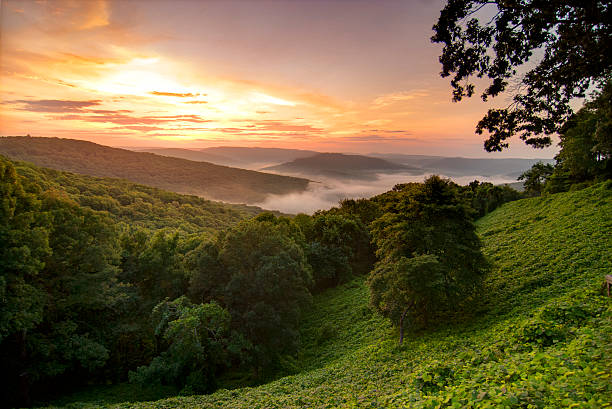 Good morning my friends 🌞🌄