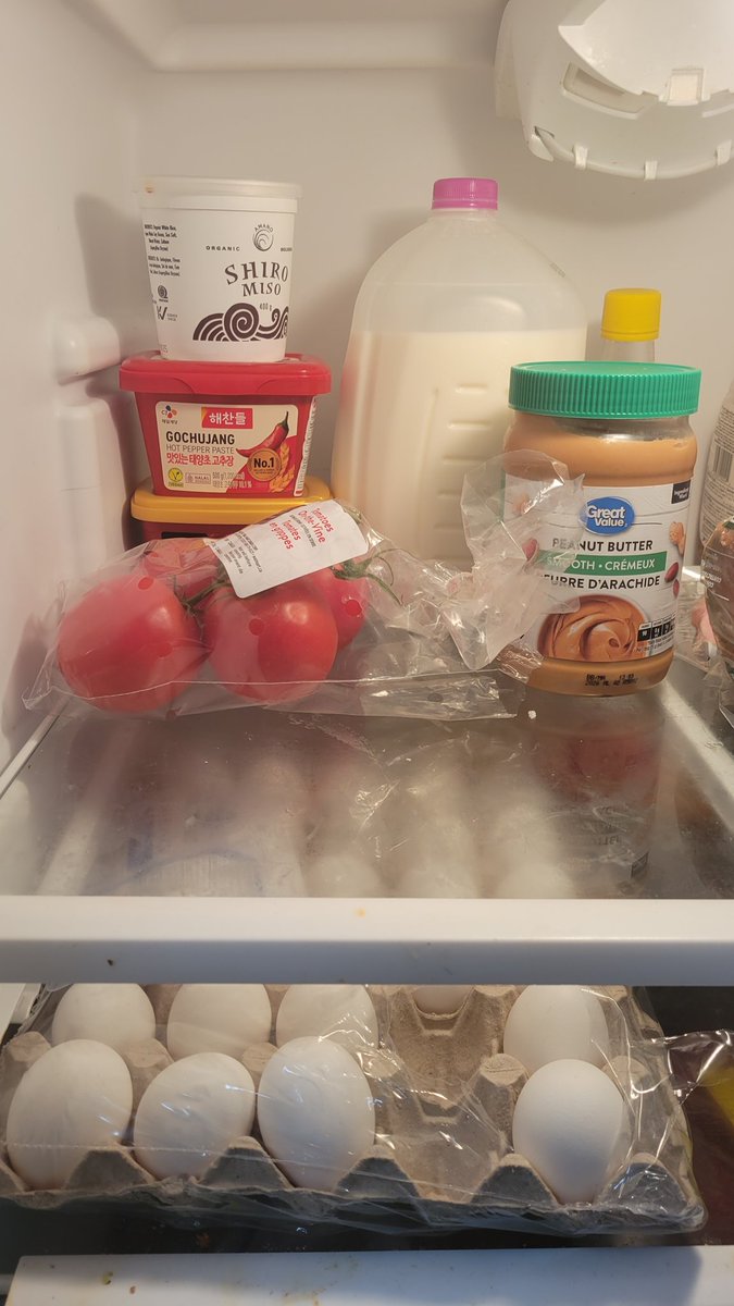 College fridge day1 😭 ff