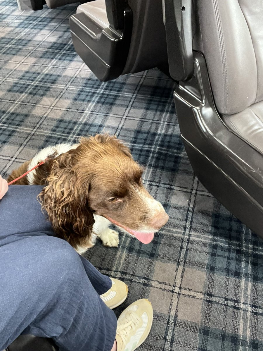 Duke is off on his summer holidays…he’s been promised there’s a beach involved … two trains so far, one more to go… Duke loves to travel <a href="/ScotRail/">ScotRail</a>