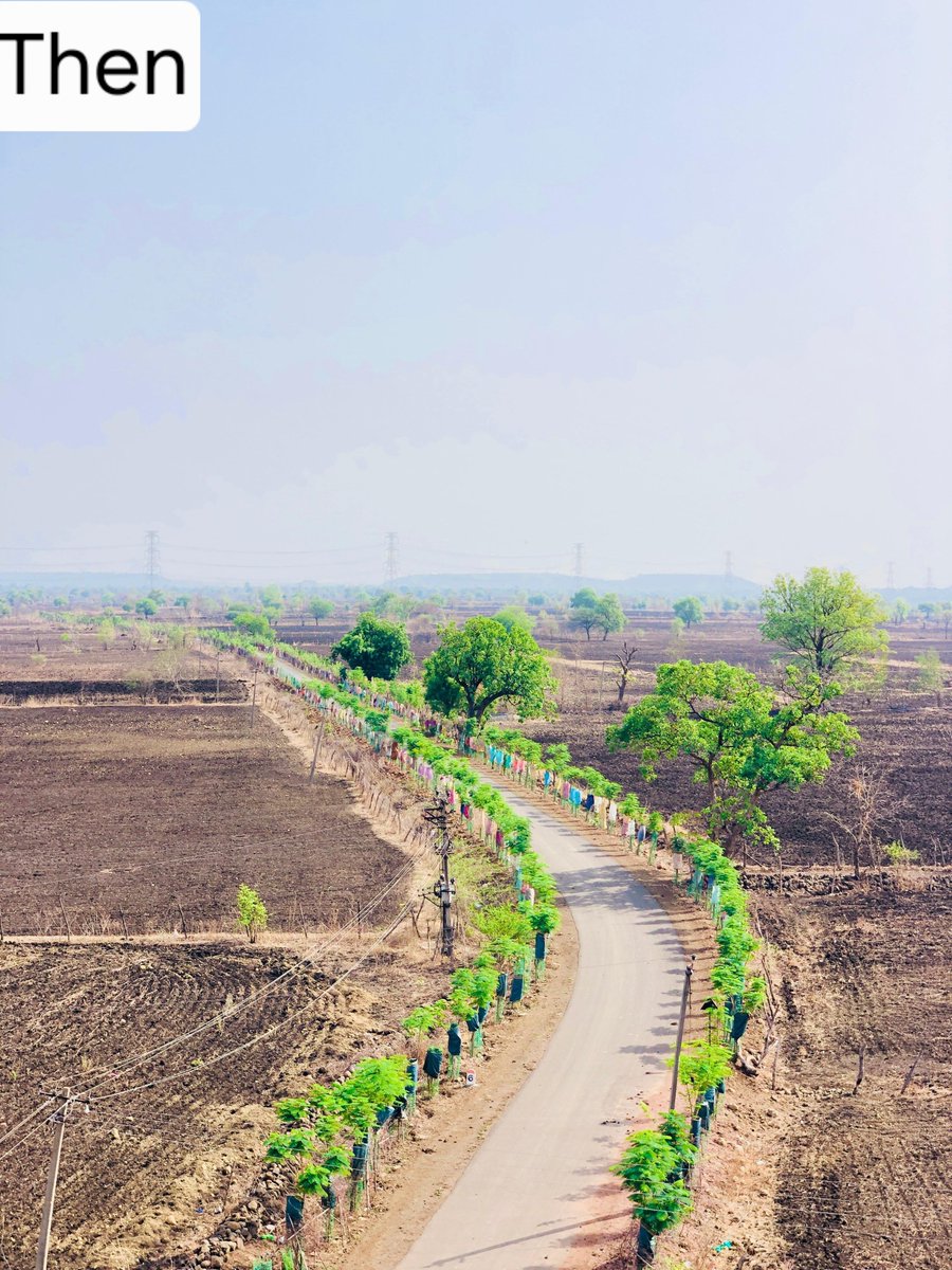 mopr_goi's tweet image. विश्व ग्रामीण विकास दिवस (6 जुलाई 2025) पर ग्राम पंचायतों की संकल्पबद्ध भूमिका : हरित, स्वच्छ और सतत् विकास की ओर 🌿🌱

आज विश्व ग्रामीण विकास दिवस के अवसर पर सतत् विकास लक्ष्यों (#SDGs) को ग्राम पंचायत स्तर पर साकार करने की आवश्यकता और भी महत्वपूर्ण हो जाती है। पंचायतें अपने