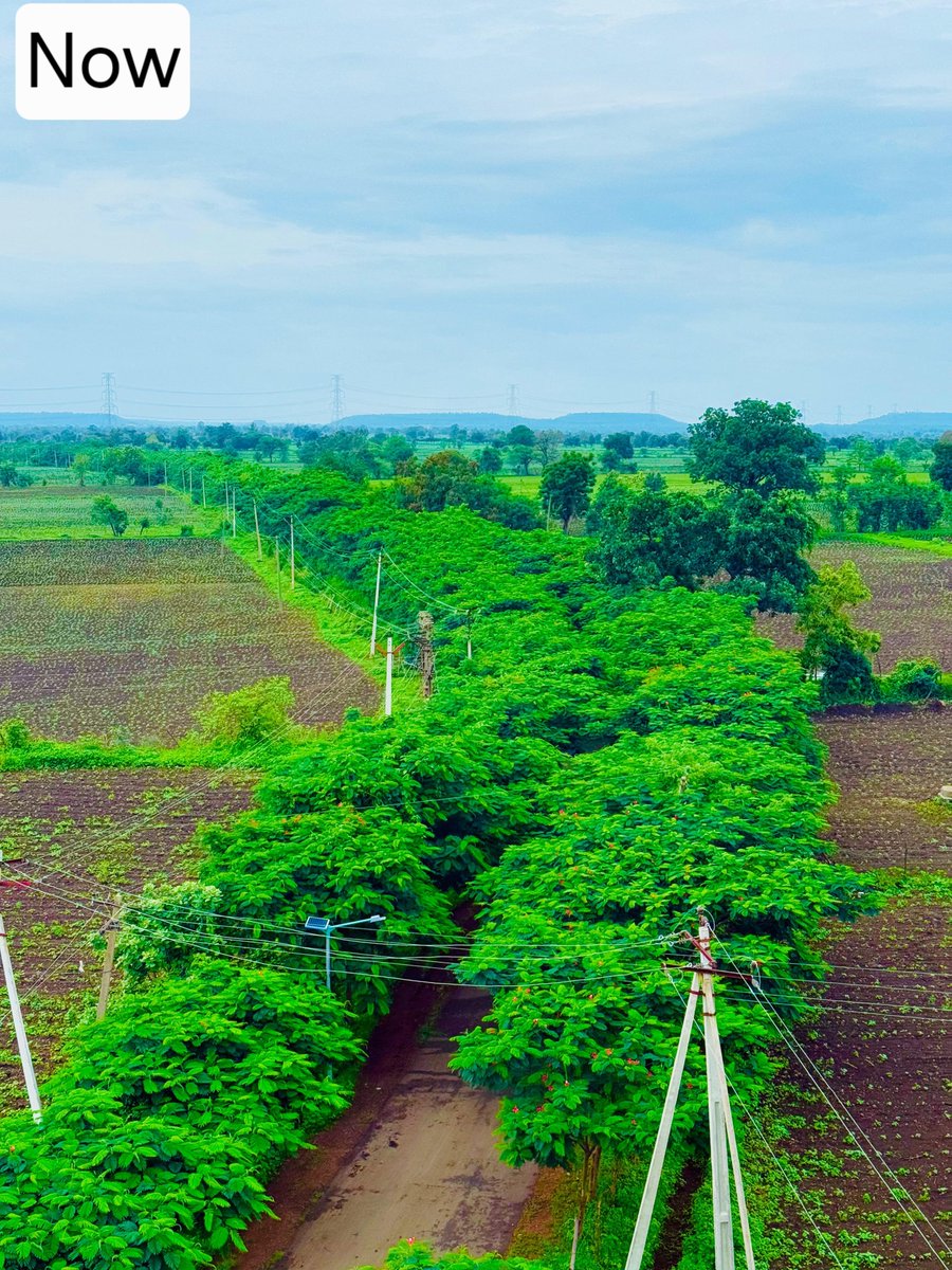 mopr_goi's tweet image. विश्व ग्रामीण विकास दिवस (6 जुलाई 2025) पर ग्राम पंचायतों की संकल्पबद्ध भूमिका : हरित, स्वच्छ और सतत् विकास की ओर 🌿🌱

आज विश्व ग्रामीण विकास दिवस के अवसर पर सतत् विकास लक्ष्यों (#SDGs) को ग्राम पंचायत स्तर पर साकार करने की आवश्यकता और भी महत्वपूर्ण हो जाती है। पंचायतें अपने