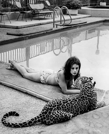 OFTHECANYON's tweet photo. A woman's best friend will forever be big cats https://t.co/sZBjNTCgmx
