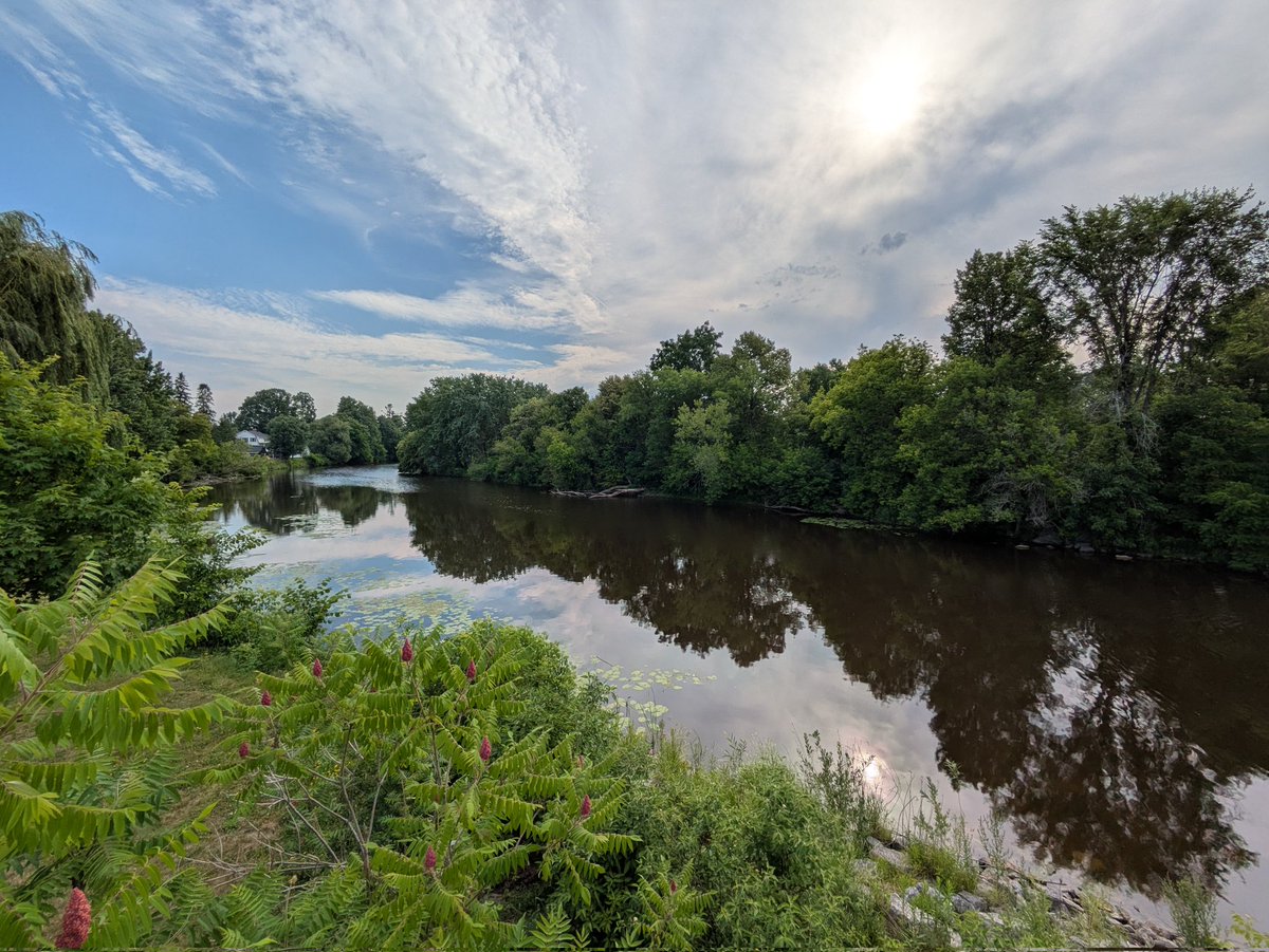 Sunday morning ruck.

Flat 10 km + 42 lbs.