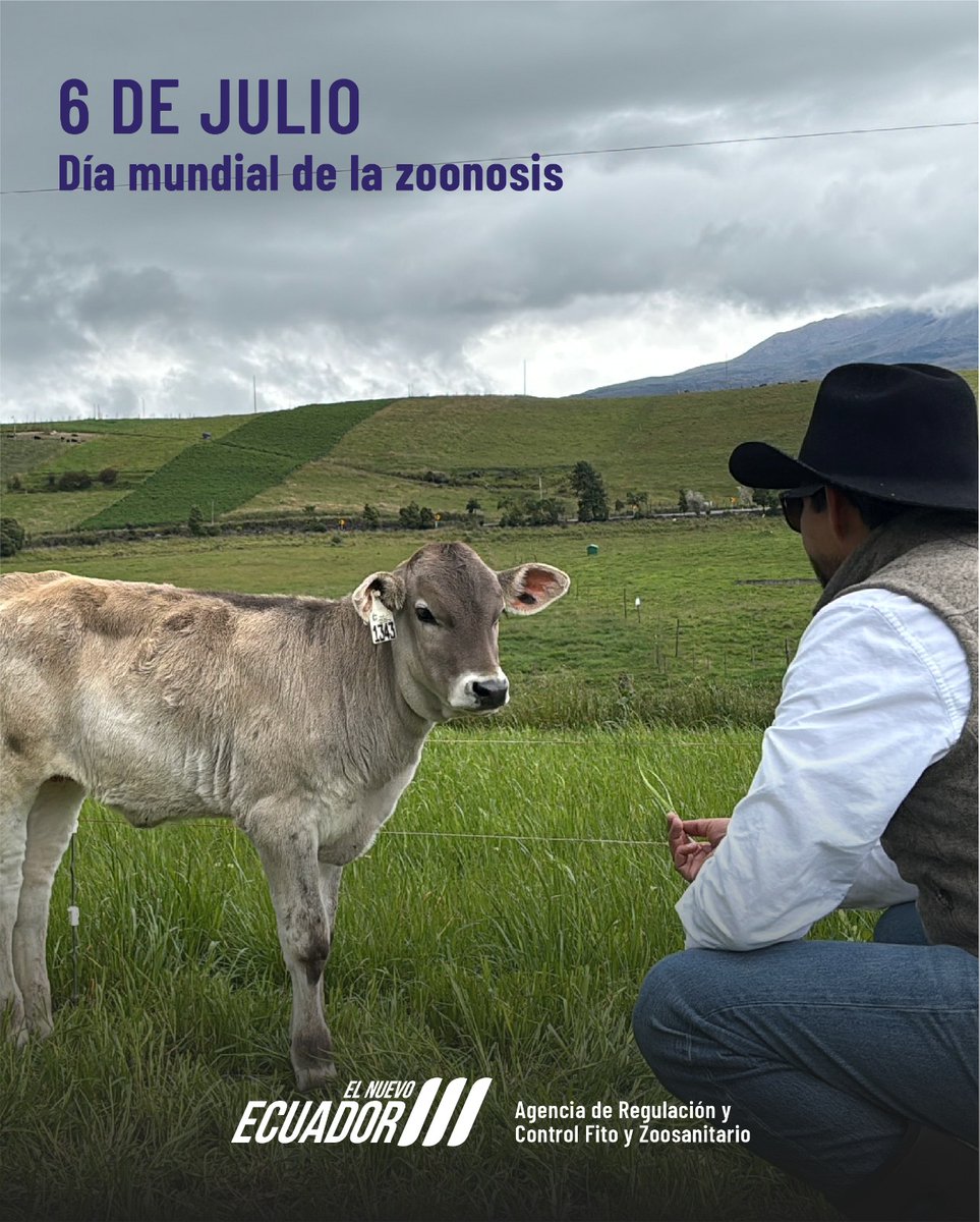 🐄 En el #DíaMundialDeLaZoonosis, destacamos la importancia de prevenir enfermedades de transmisión de animales a humanos.

💉 A través de nuestros programas de control de brucelosis, tuberculosis, rabia e influenza aviar trabajamos por la salud pública y el bienestar animal.