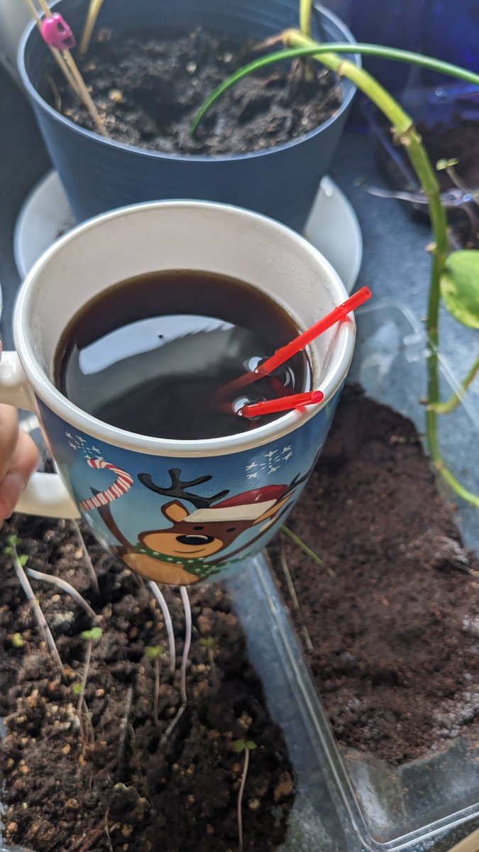 Happy #Sunday everyone. Today's #blackCoffee ☕  #Coffee  #TwoRedStirrers  #RetiredLife Make the most of your day.  #24Hour  gift #payitforward  How will you spend the rest of your day today? 🌞😊❤️