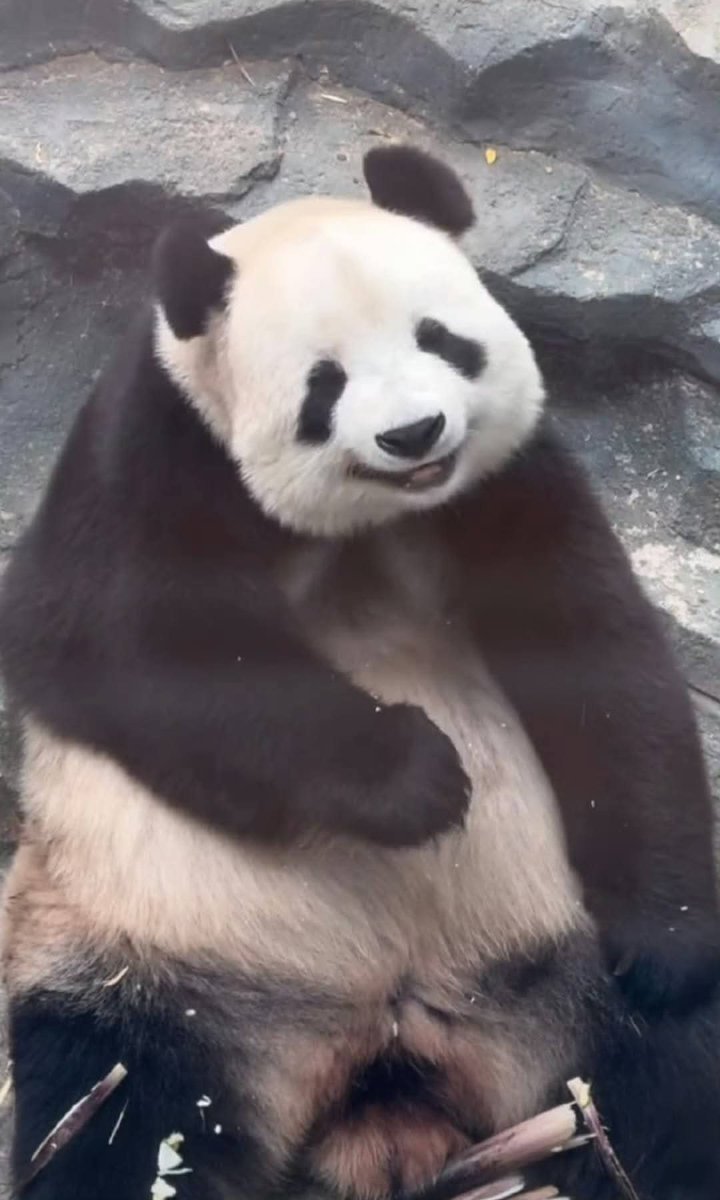 How beautiful smile of Feiyun