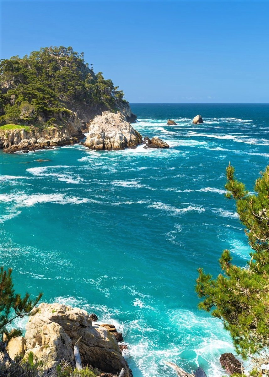 Point Lobos,California-USA.