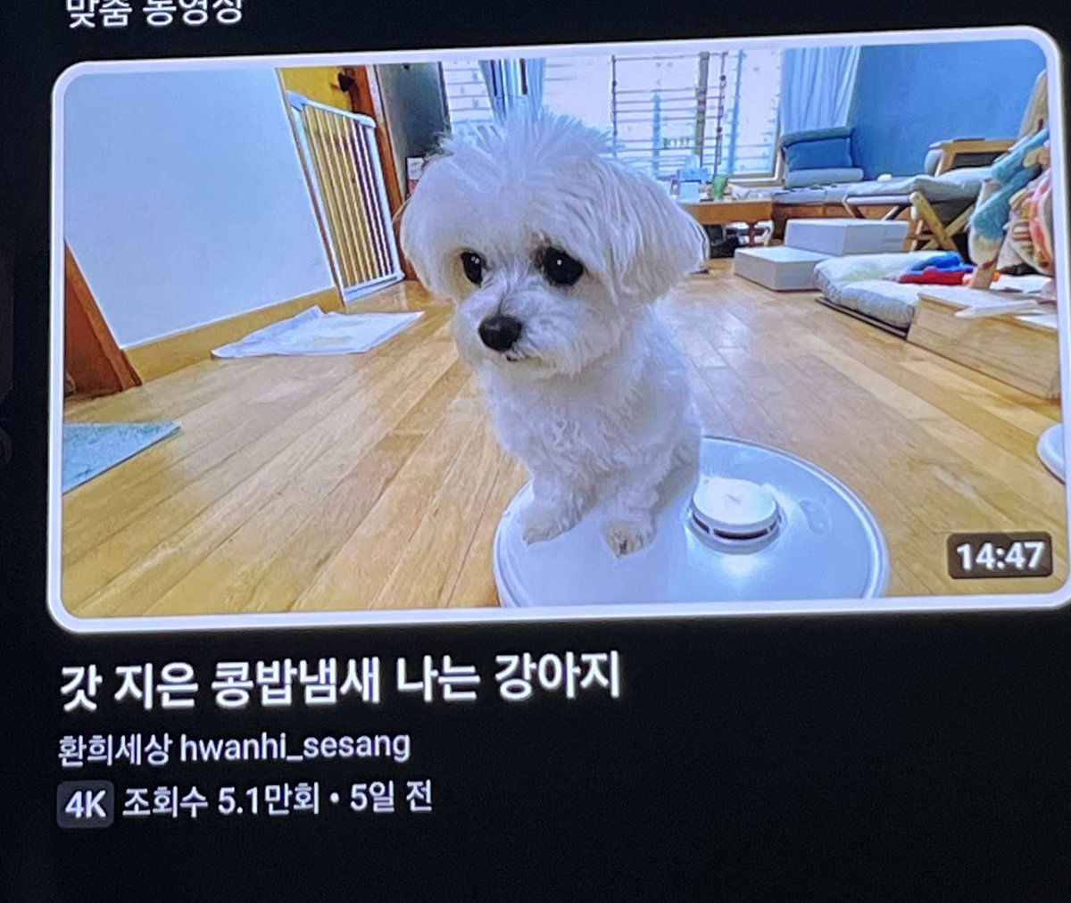 이거 안누르고 참을수잇냐고요