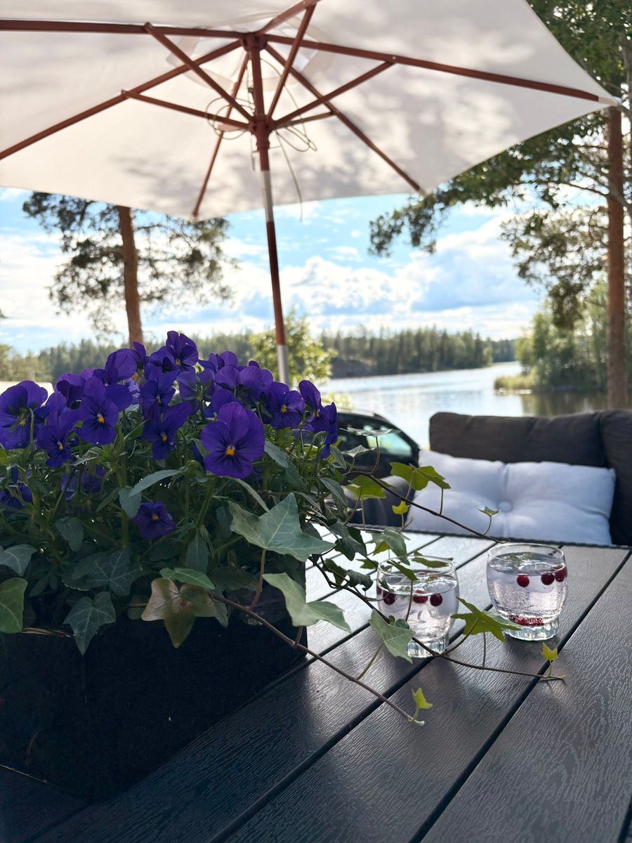 Reippauspalkinto ⁦<a href="/RiikkaSario/">Riikka Sario</a>⁩ kanssa. #arcticbluegin