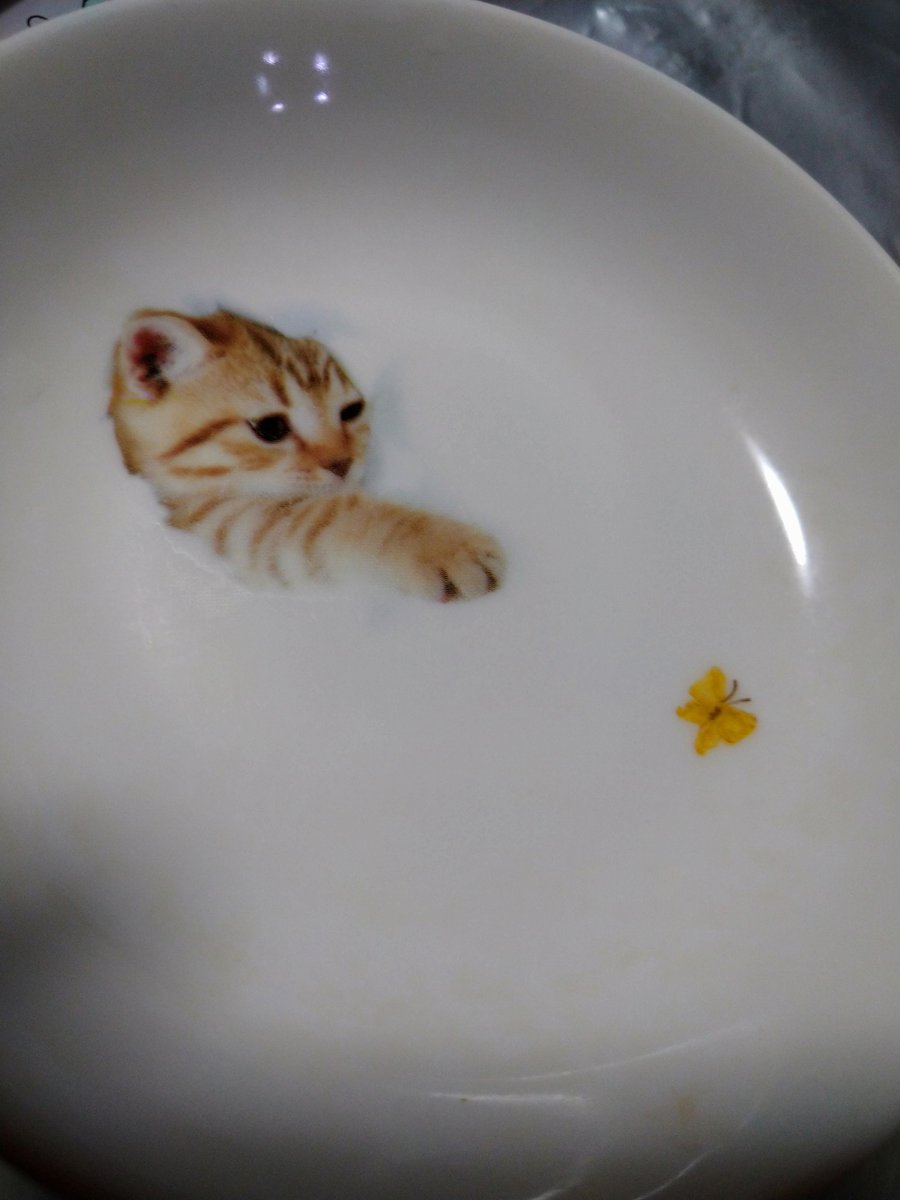 なんか可愛い小皿の話があるようなので、2年前猫の日のイベントで買ったうちのを。もっと欲しくて翌年も行ったら参加なさってなかった…イベントは本当に一期一会…どなたかサークルさんご存知でしたら教えてください買います。