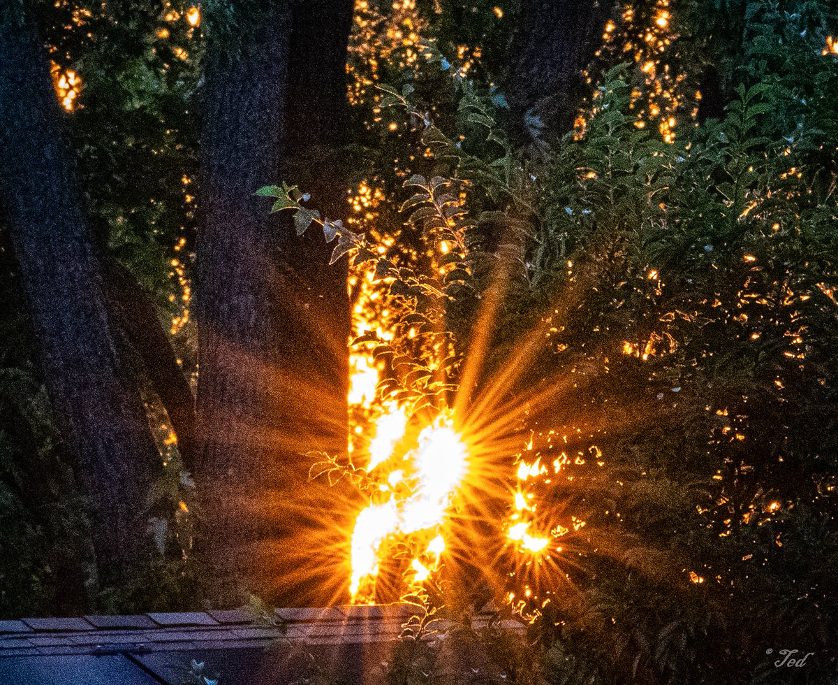 Sunburst Sunday. ☀️
Wishing y'all a tranquil, happy day. 😎