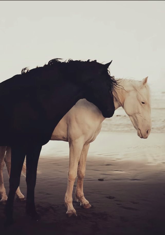 REX (@rexchillect) on Twitter photo 