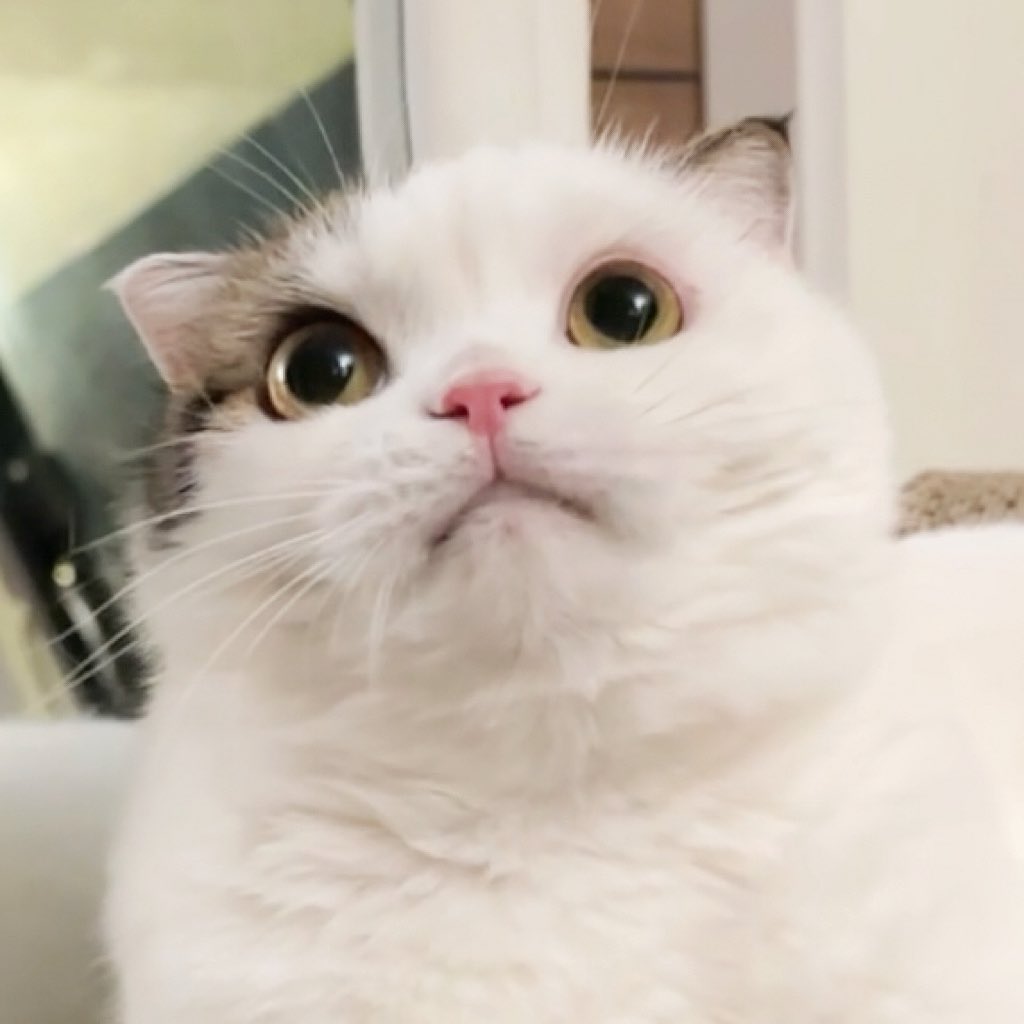 แอบยิ้มหวานอ่ะปื้กกก55555