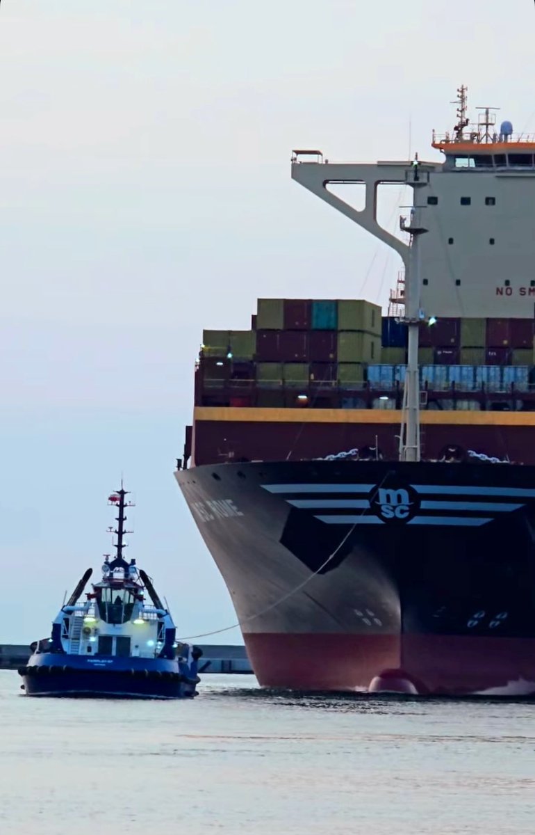 كلما زاد عمرك عاماً ..؛
إزددت خبره تجعلك تستصغر أموراً كثيره كانت تستهلك طاقتك 
ومشاعرك ..؛
فالنضوج سمه تعيد ترتيب الأشياء 
و الأشخاص ..💫