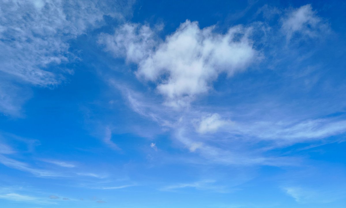 ProfJuniorFlor's tweet image. Bom dia!