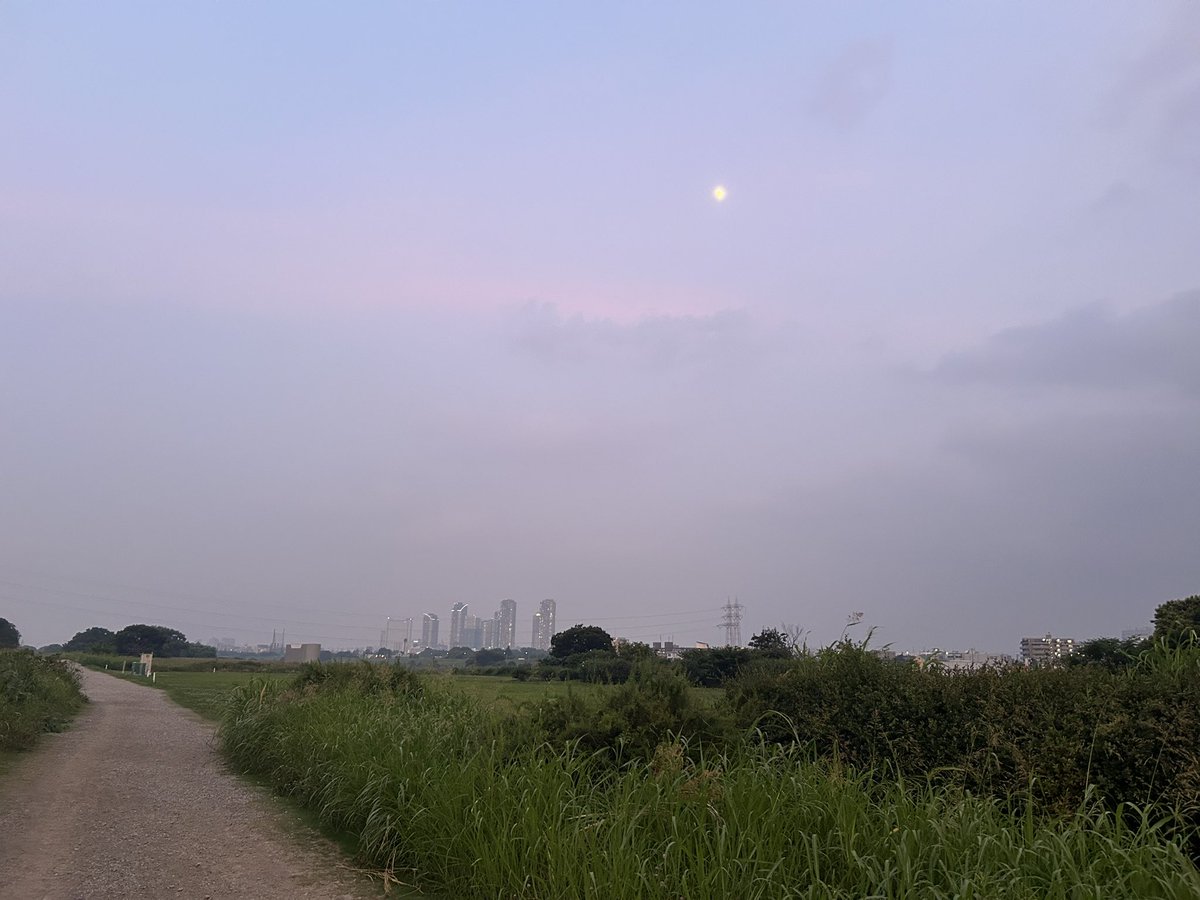 今日も夕刻ラン、13km。