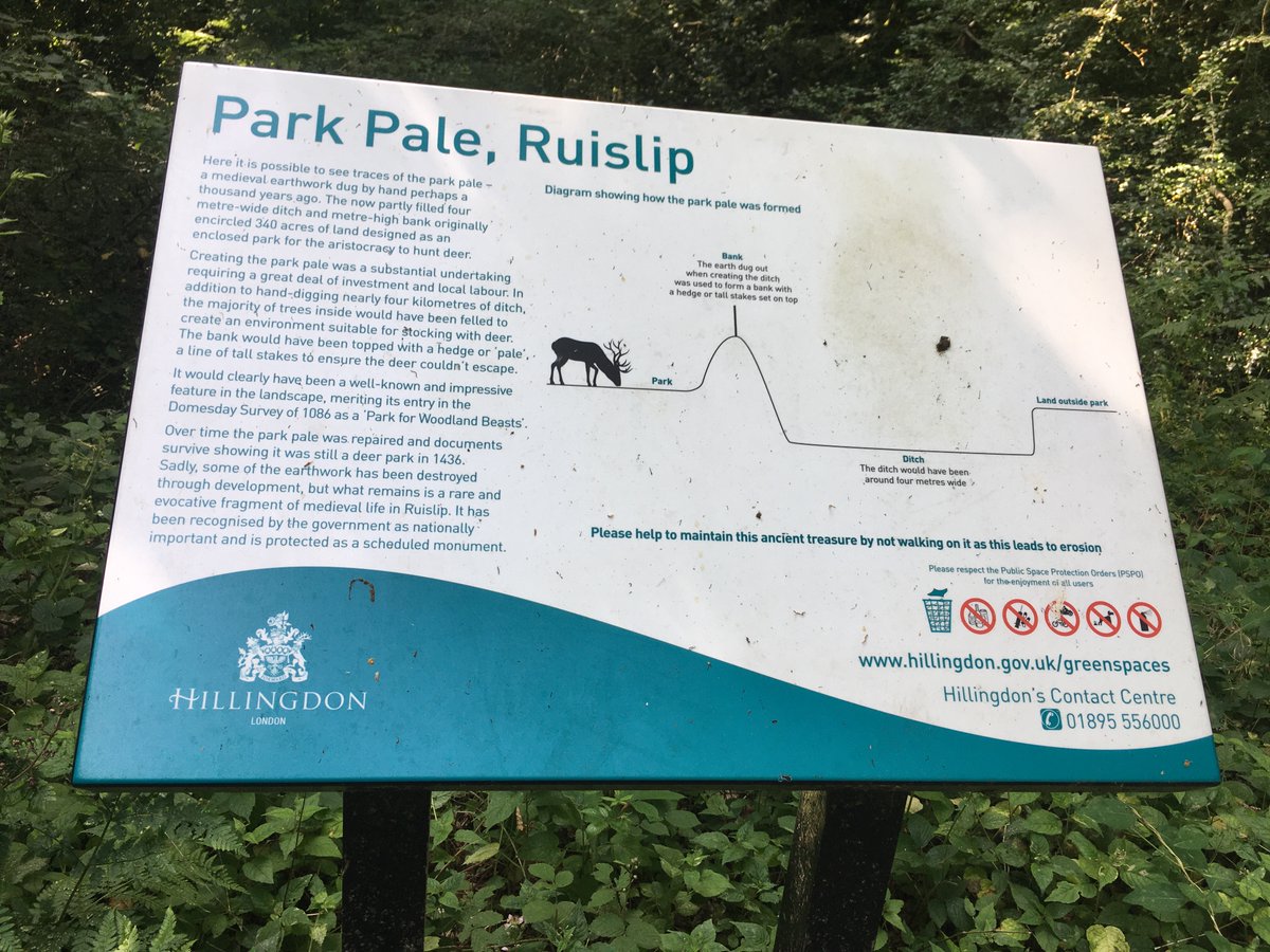 Ruislip Woods Trust (@ruislipwoods) on Twitter photo #Ruislip Woods National Nature Reserve is âancient semi natural woodlandâ.
The Park Pale is an earthwork dug by hand perhaps a thousand years ago: a rare and evocative fragment of medieval life.
<a href="/Hillingdon/">Hillingdon Council</a> <a href="/BassamMahfouz/">Bassam Mahfouz AM</a> #history #Ruislip Woods National Nature Reserve is âancient semi natural woodlandâ.
The Park Pale is an earthwork dug by hand perhaps a thousand years ago: a rare and evocative fragment of medieval life.
<a href="/Hillingdon/">Hillingdon Council</a> <a href="/BassamMahfouz/">Bassam Mahfouz AM</a> #history
