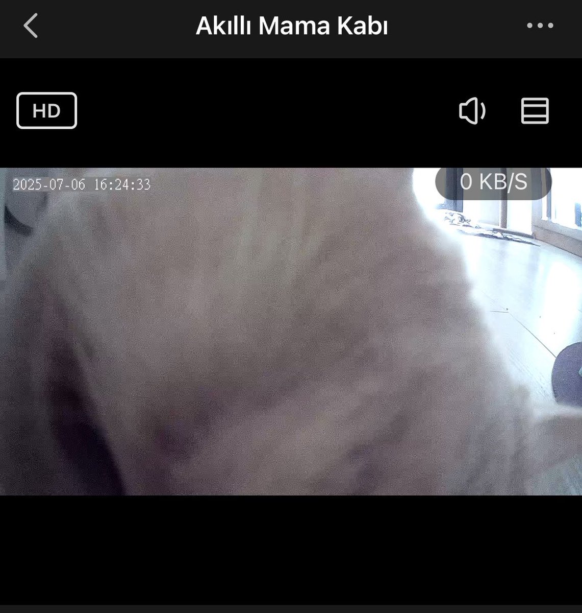 Yaladım yine mama vermedi bu aptal makina !!!