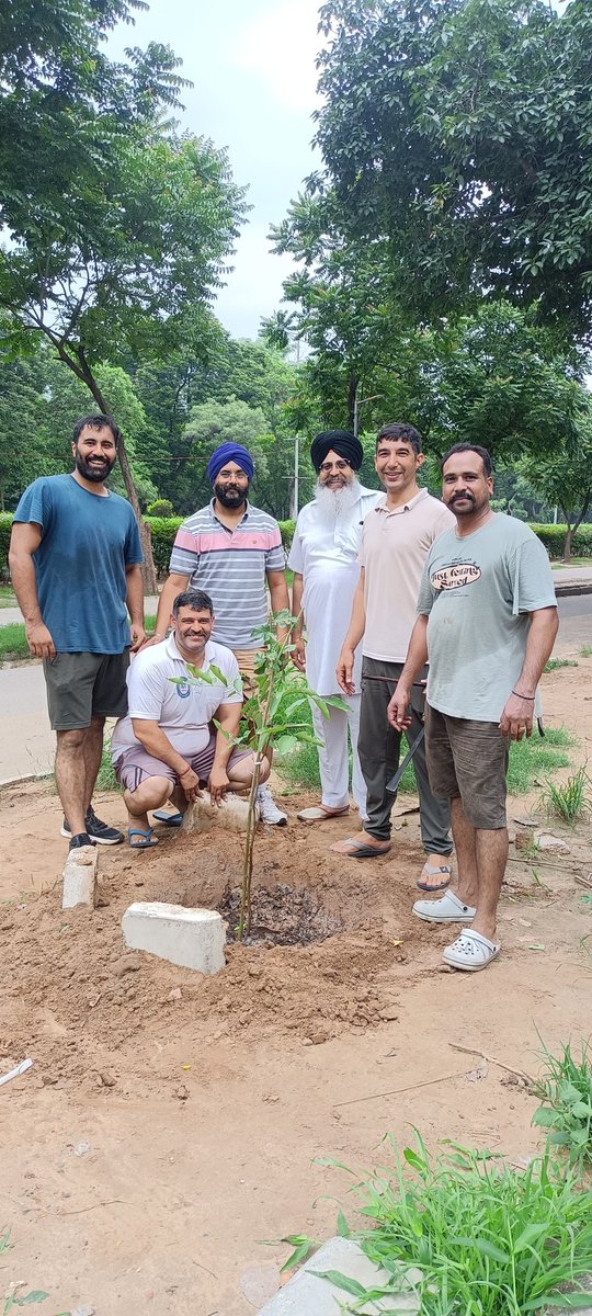 sstchandigarh's tweet photo. समस्या समाधान टीम चंडीगढ़ के साथियों ने पंजाब पुलिस के जवानों के साथ मिलकर सेक्टर 9 चंडीगढ़ में पौधारोपण किया। 
#vanmahotsav2025 https://t.co/MUq80vzXYe