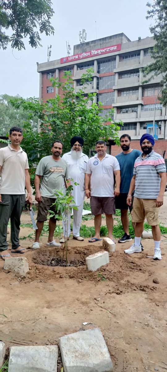 sstchandigarh's tweet photo. समस्या समाधान टीम चंडीगढ़ के साथियों ने पंजाब पुलिस के जवानों के साथ मिलकर सेक्टर 9 चंडीगढ़ में पौधारोपण किया। 
#vanmahotsav2025 https://t.co/MUq80vzXYe
