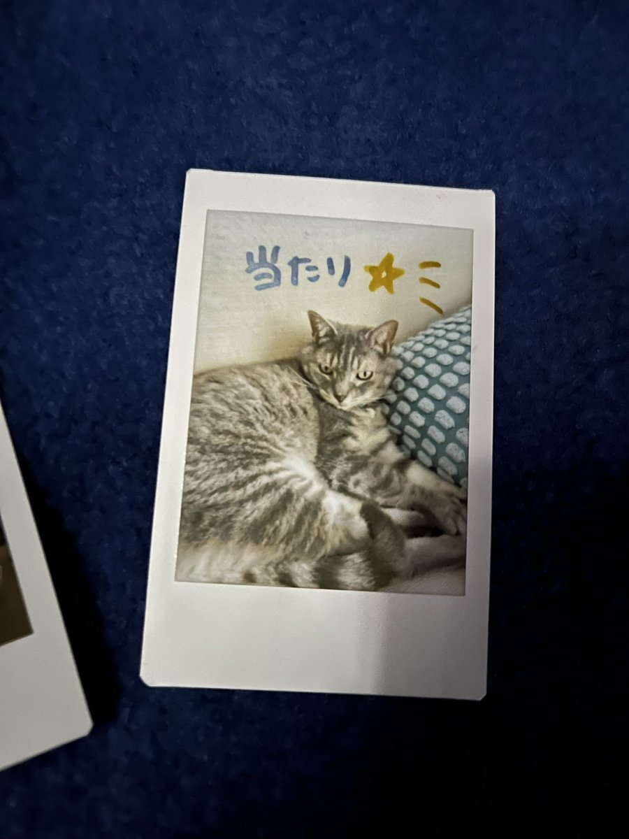 ねぇねぇしおちゃん - Search / X