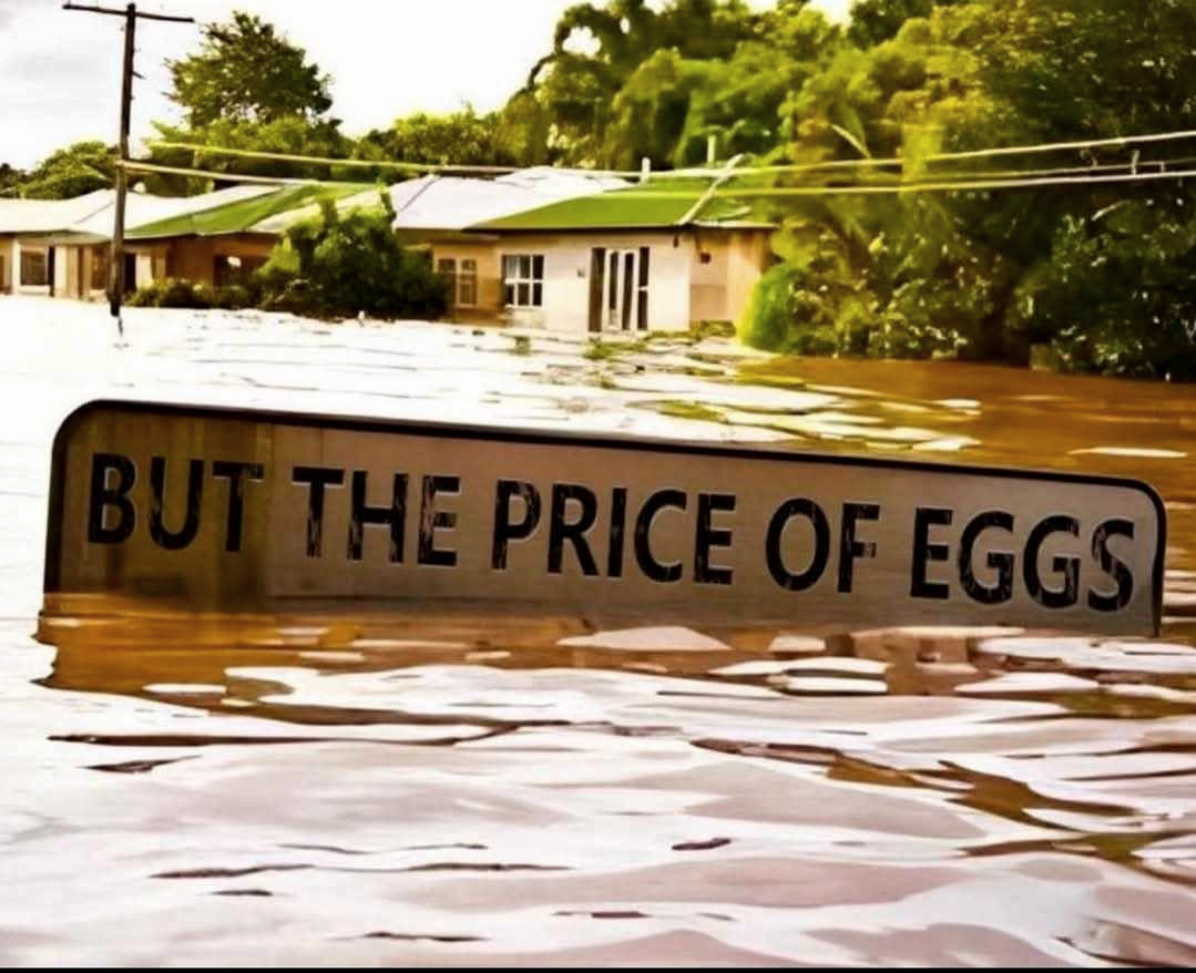 Garry Orvold 🟧 (@orvold42) on Twitter photo 