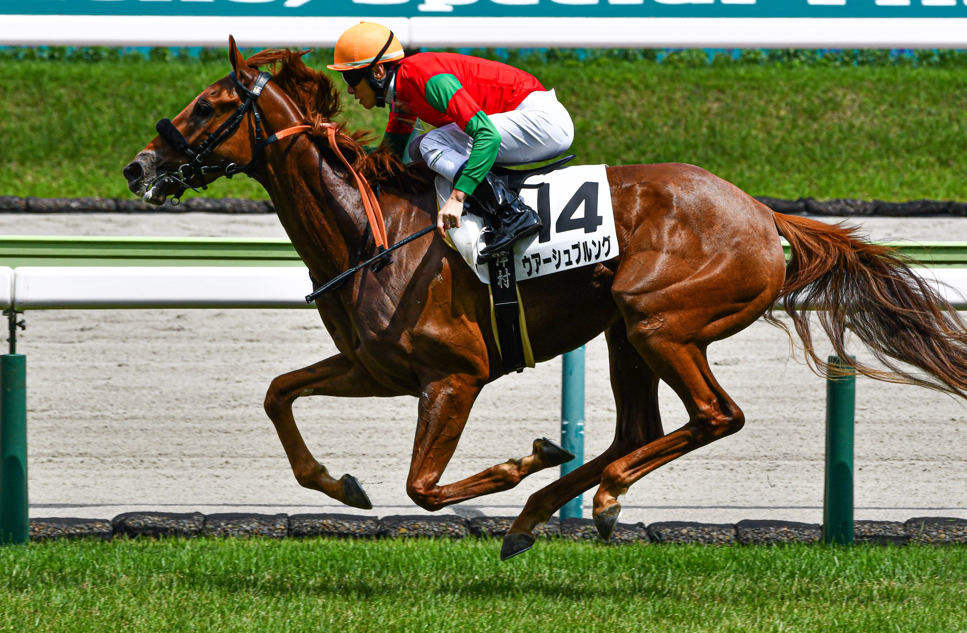 売れ筋ランキングも JRA必勝バイブル 希少本 奥村俊一の競馬赤本