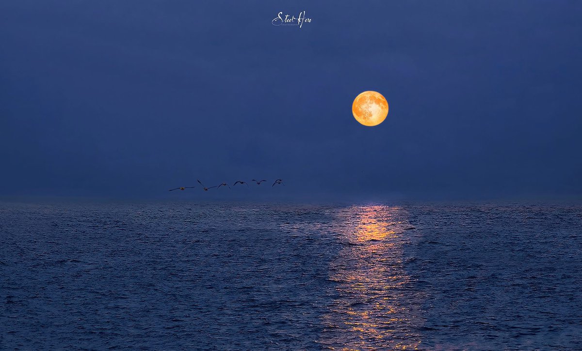 Сартай шөнө, Хөвсгөл нуур