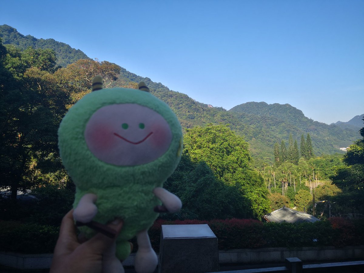 khee_san's tweet photo. $SPX guys always happy!

I had a serious fall on my recent trip overseas, got compression fracture on one of my vertebrae. The pain and discomfort was quite terrible at first. I'm much better now after 3 weeks.

Just managed a light swim today to move my muscles.

I believe everything happens for a reason. Accept it, admit it, resolve it, let it go completely. Continue to believe we are build for greater things.

Thank God for everything that happens, thank God for healing!

Continue to believe in myself, God has a plan for me.

Believe in something, always!
Remember #SPX6900 spirit, remember #SPX6900 community support!

Most insane community alive!
ILY! ❤️