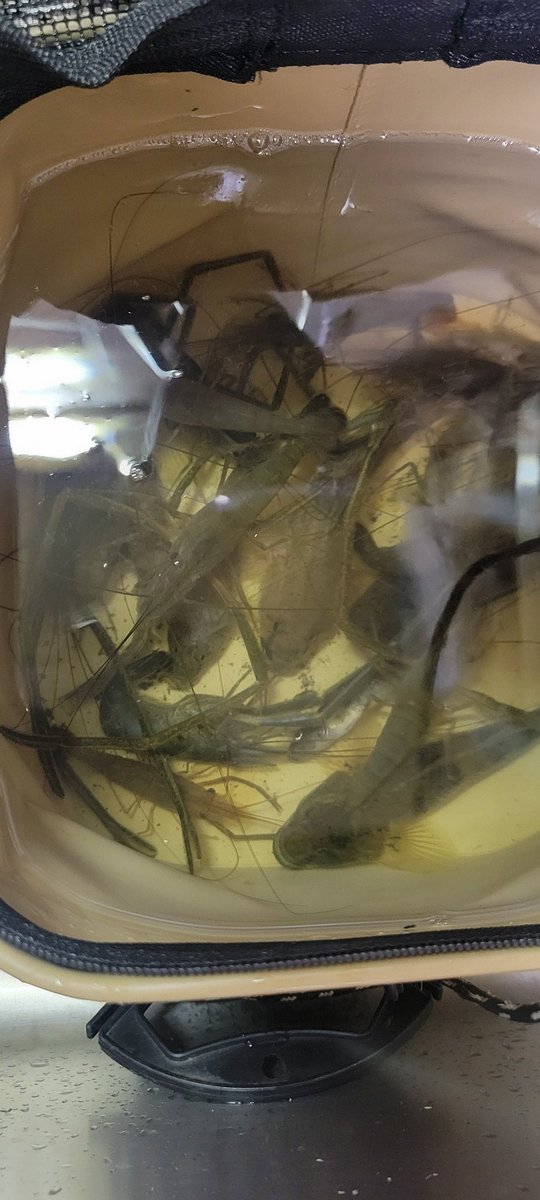 りちゃ (@ichigo_0051) / Posts / X