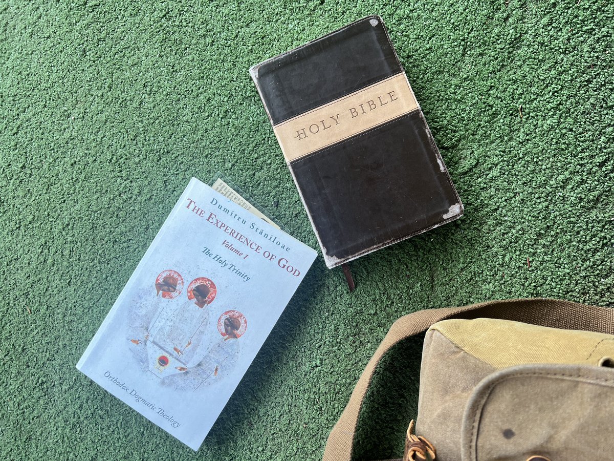 “Good Morning,” from The Snyder Household!

Reading The Experience of God in my deep dive into Orthodox Theology (super rich, mystical), as well as The Gospels (foundational).

Returning to Maximos the Confessor soon.
