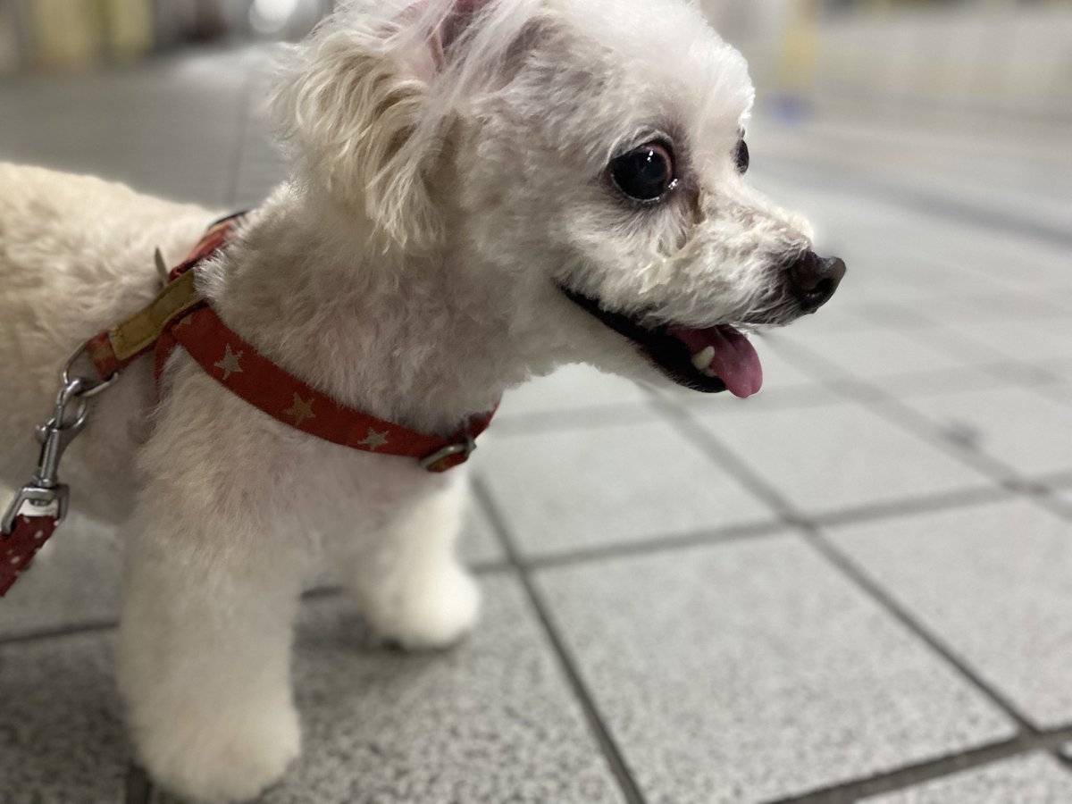 ✹( '-' ✹ )ｳﾆ!✺✺✺