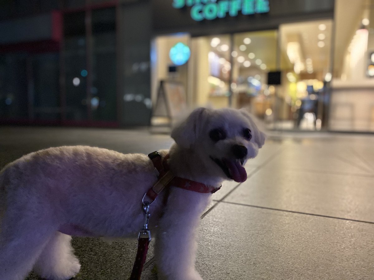 ✹( '-' ✹ )ｳﾆ!✺✺✺