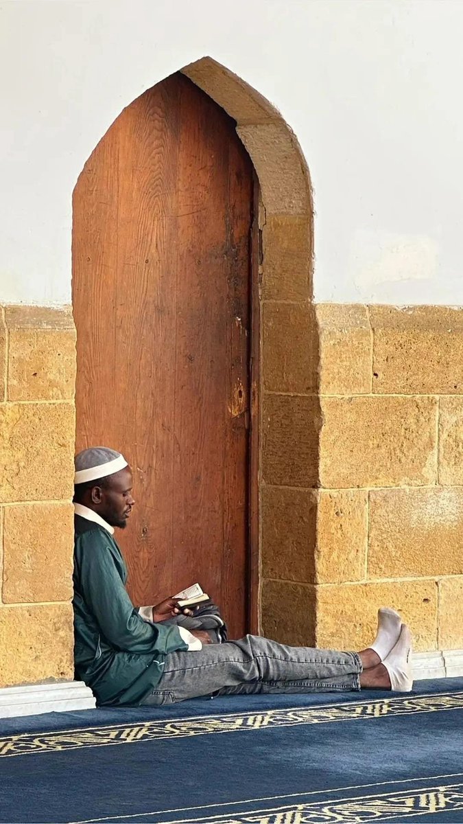 ودي المفضلة على الإطلاق