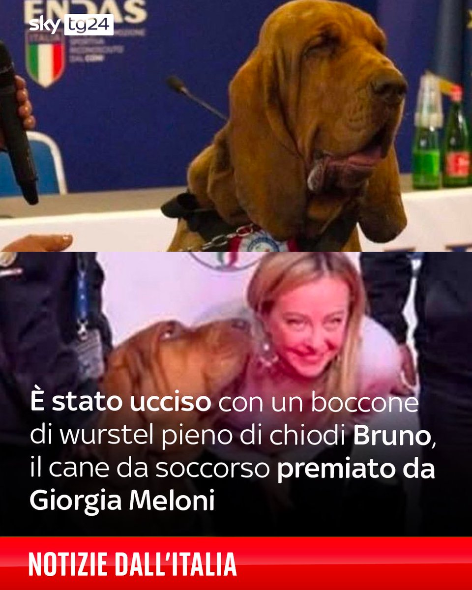 Tweet media