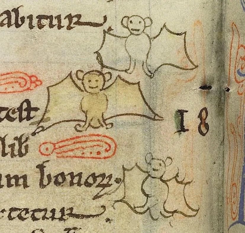 Medieval scribes loved doodling bats in manuscript margins. In 13th‑c English bestiaries like Harley 3244 or Ashmole 304, you’ll find whimsical, even smiling bats - less biology, more allegory, symbolizing night, demons… and a dash of monastic humor