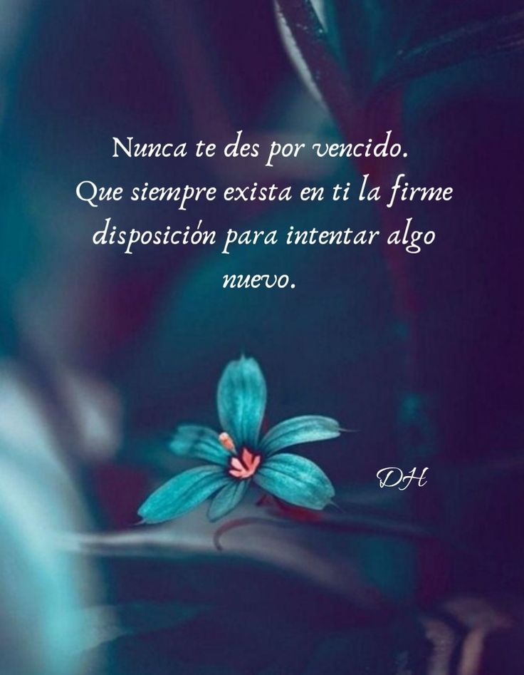 Siempre adelante.. 🙌🏻
#FelizDomingo