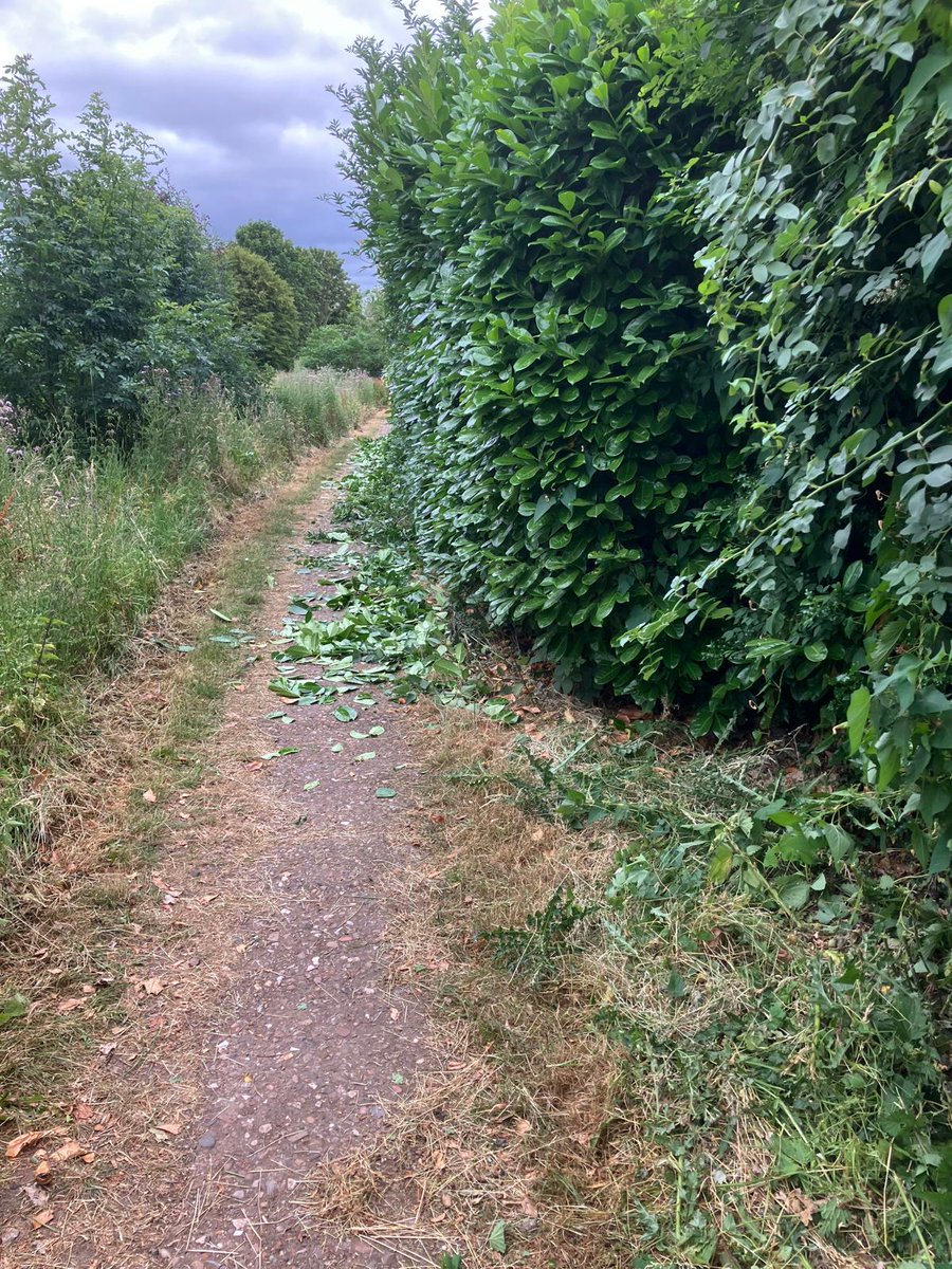 Busy morning for our green team! 🌿

Six DofE vols and two adults cleared nettles &amp; branches along Tamworth Road.

Thanks to <a href="/Wesleyan/">Wesleyan</a> - their support funded our new long-handled hedge cutter! 🙌
