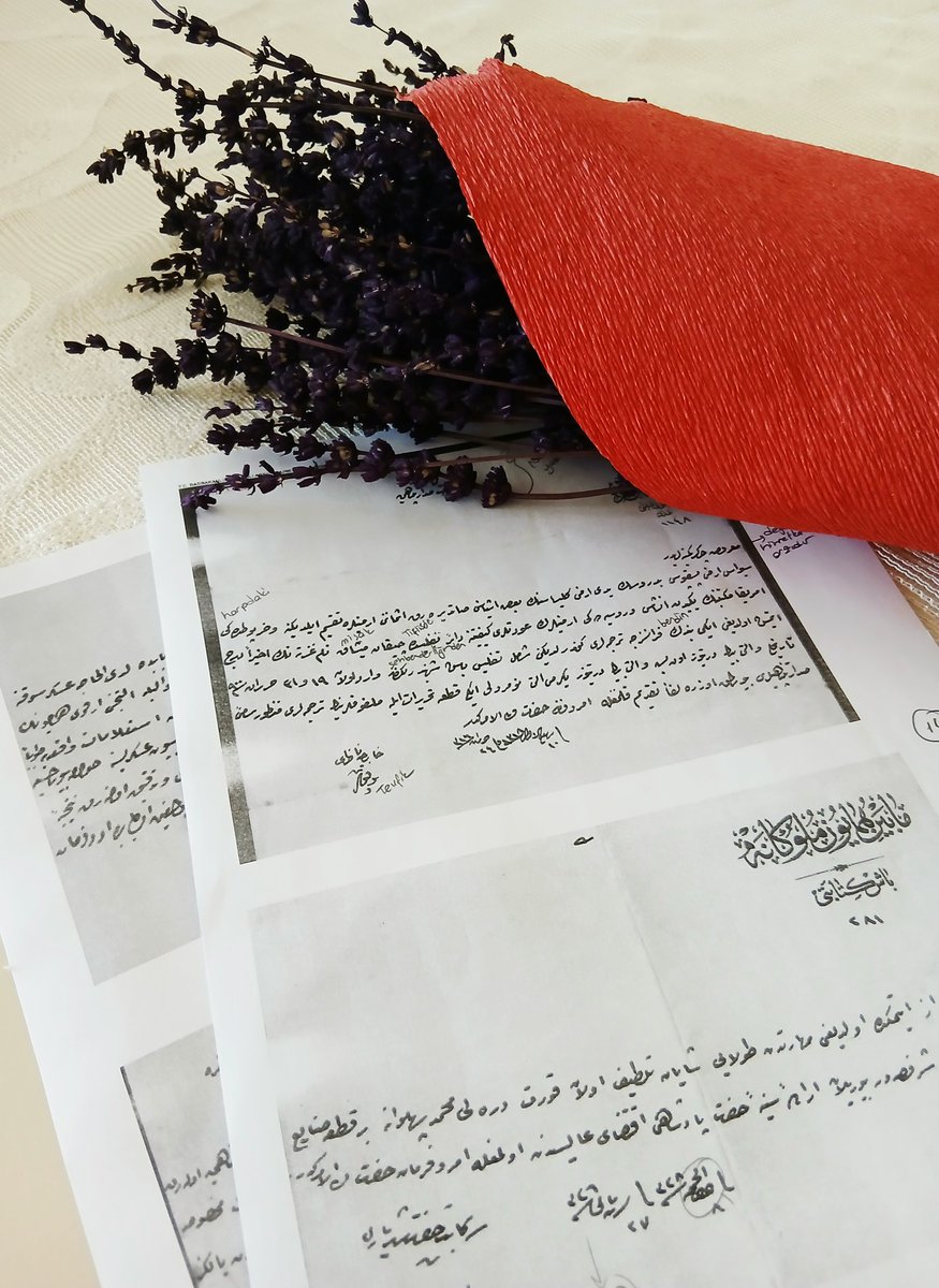 Huzur veren çalışmalar 🌾 <a href="/ZAFERSIK/">Zafer ŞIK</a>