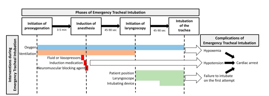 Intubación Traqueal Basada en Evidencia 🧾🫁

🔰📚American Journal of Respiratory and Critical Care Medicine

doi.org/10.1164/rccm.2…

Enlace a Artículo Completo 👇🏼✅🆓t.me/SoMELaguna
