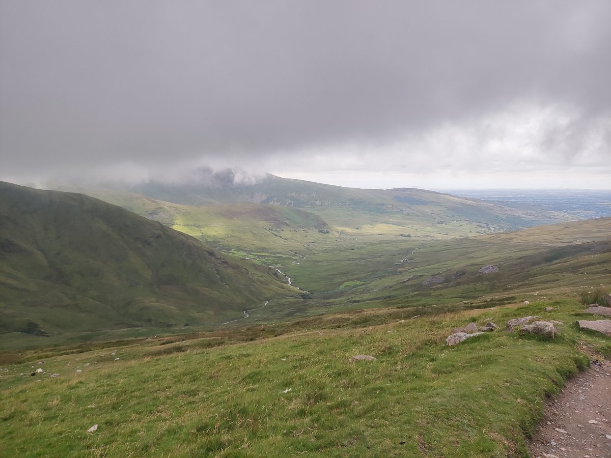 Marlborough Primary School tweet media