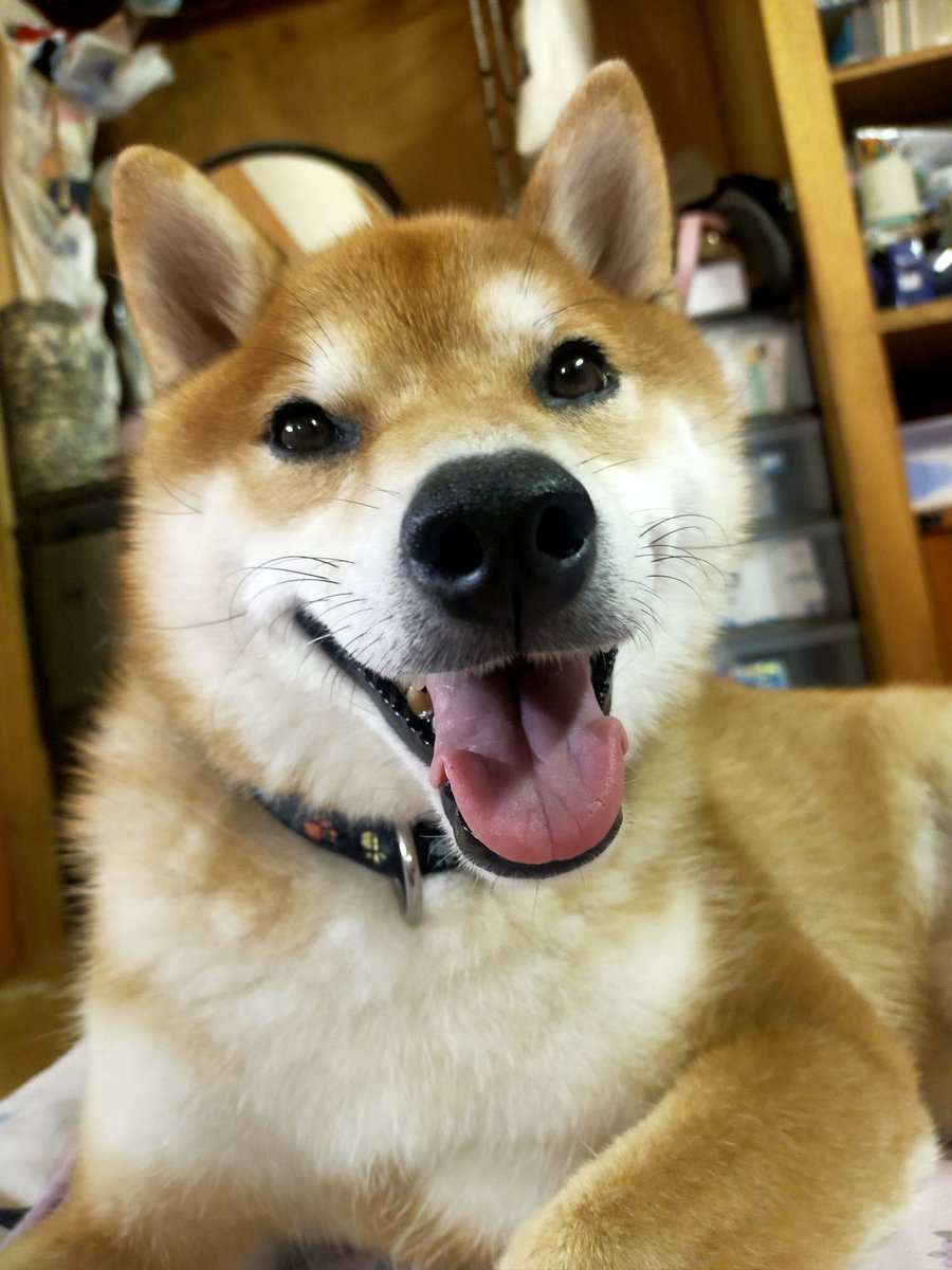 おやすみなさい🌠