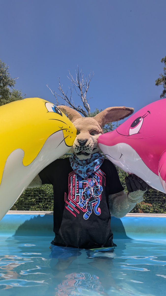 milvusbuteo's tweet image. Premium roo time! 
Photos: @ToraFurr18