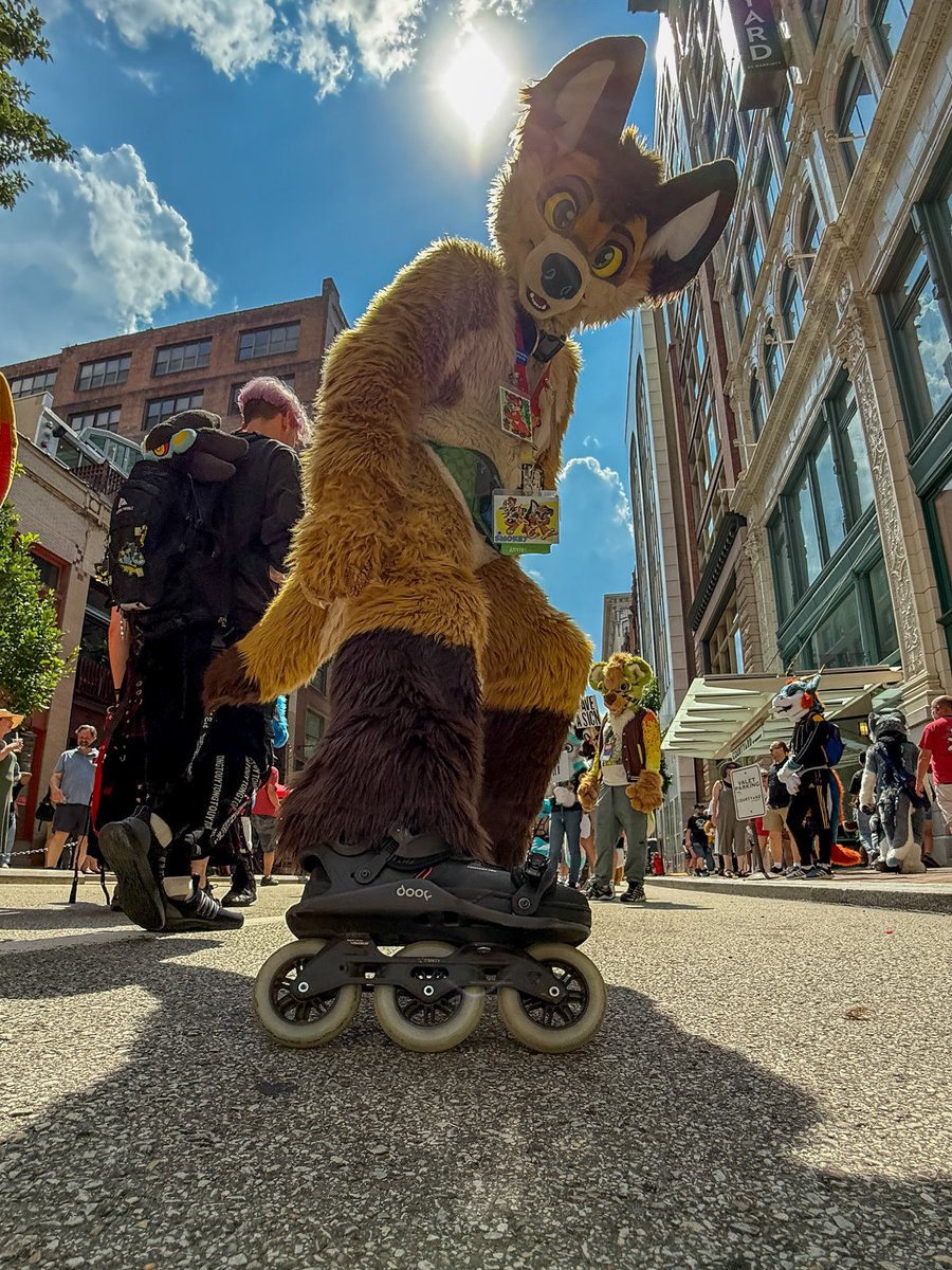 KoidelCoyote's tweet image. If anybody has some pics or videos from the parade at AC. lmk or tag me :3