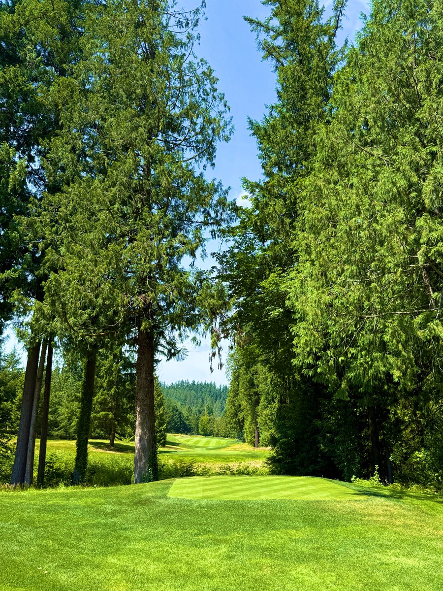 What are you thinking on this tee box?

I’m in the Pacific Northwest at an absolute 💎. Love seeing the gorgeous trees allowed to thrive. Fits the place perfectly. 

This back tee is insane. 

Though truly all mental. It’s close enough to the trees that they don’t mess with the