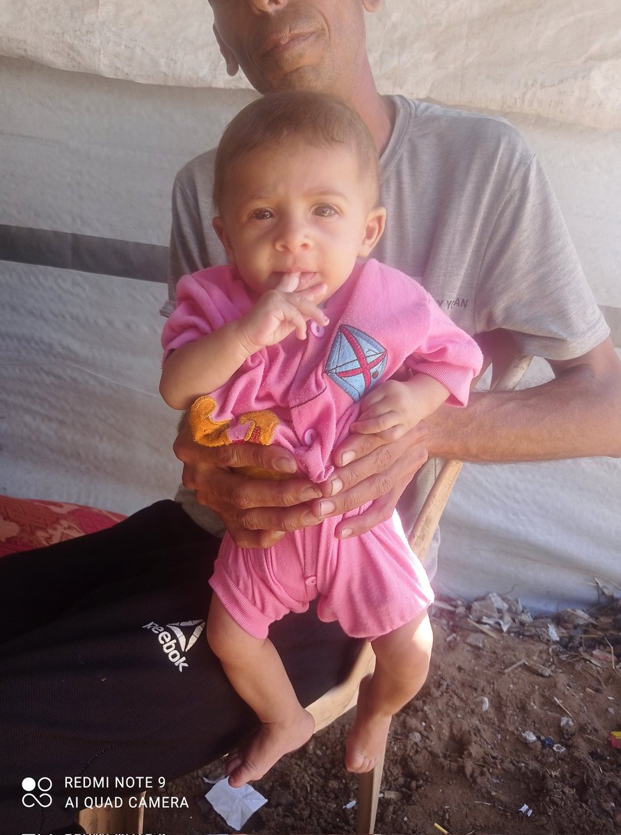 Cat lover tweet media