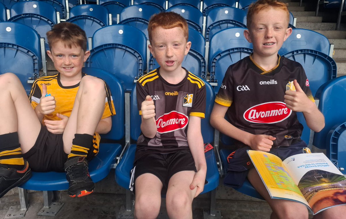 3 small fans made trip up to <a href="/crokepark/">Croke Park</a> from <a href="/Stmullinsjuvi/">St.Mullins Juvenile</a> #fanwall <a href="/ocarrollpoc/">a o carroll</a>