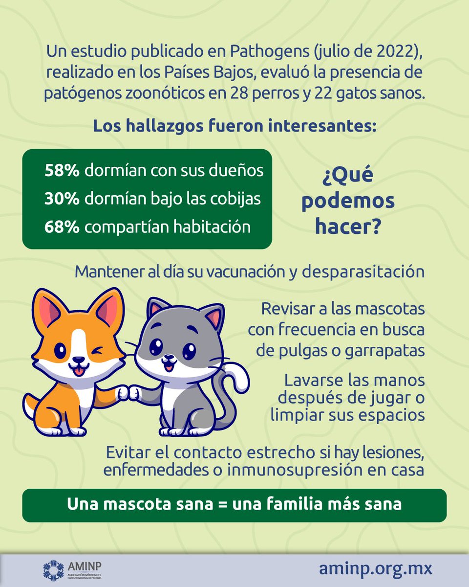 aminpmx's tweet photo. Día Mundial de las Zoonosis - 6 de julio 

Prevenir las zoonosis es cuidar la salud de todos. 

En pediatría, debemos educar, prevenir y actuar a tiempo. La salud humana, animal y ambiental están profundamente conectadas

#Zoonosis #Pediatría #SaludInfantil #AMINP #INP https://t.co/llfWIlfvBd