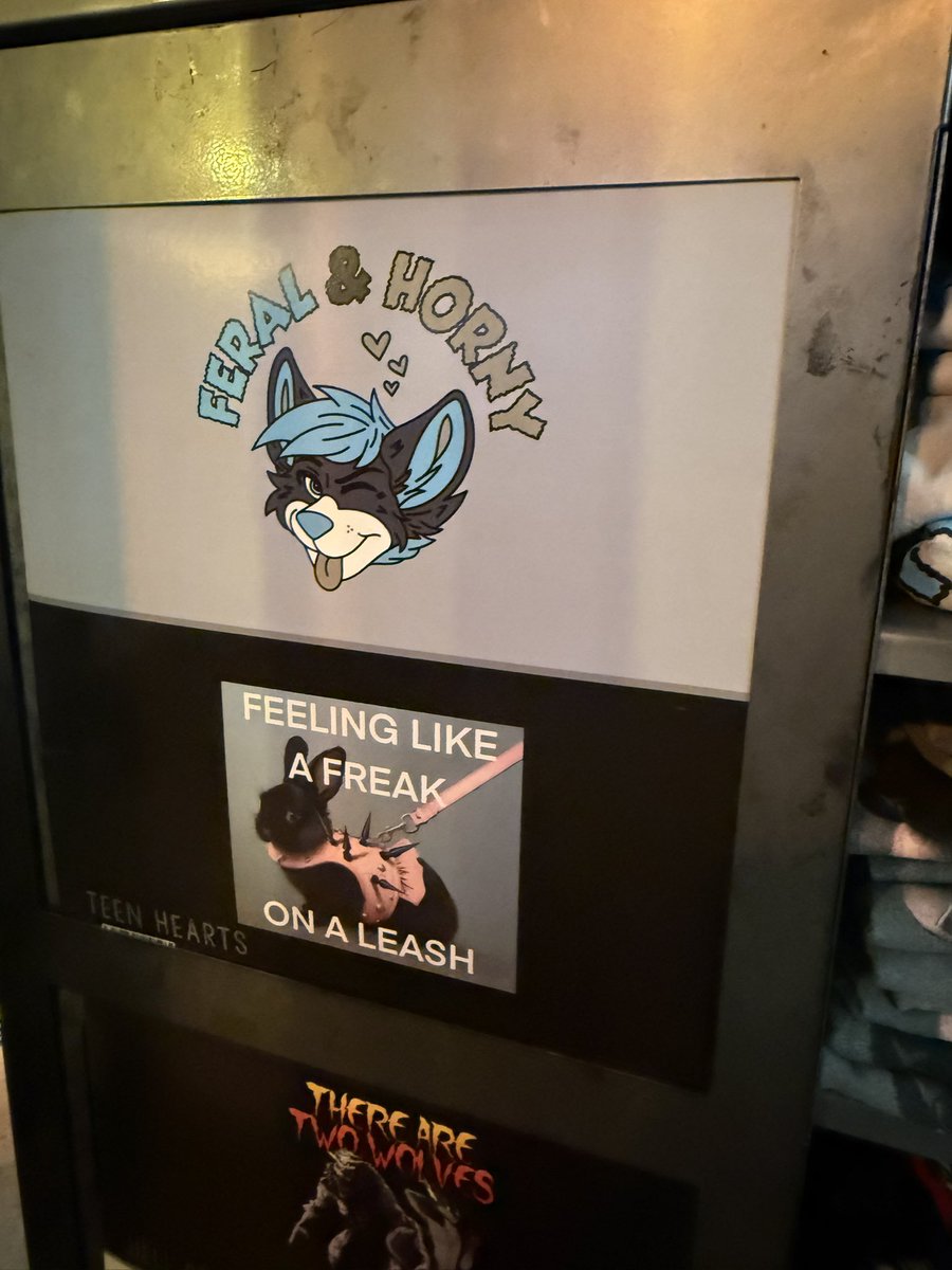 It has been awhile since I have been to Spencer’s, but when did they hop onboard the furry train?

A little surprised to find these there. I hope the artist made bank on these, lol.